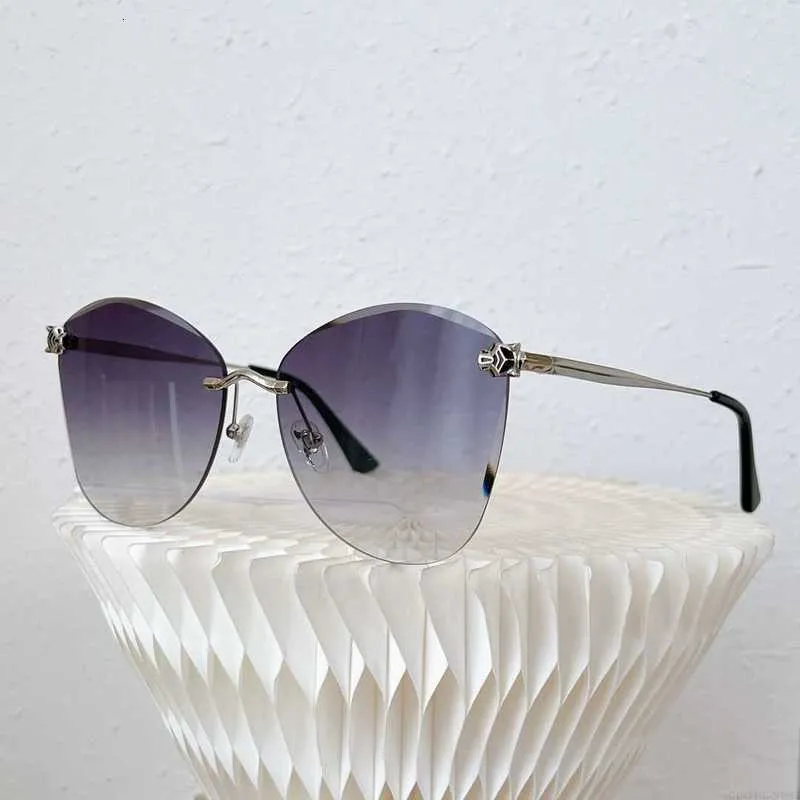Solglasögon överdimensionerade oregelbundna geometriska design leopard damer solglasögon semester avslappnad mångsidig modetemperatur designer män trendiga lämpliga för alla PEO