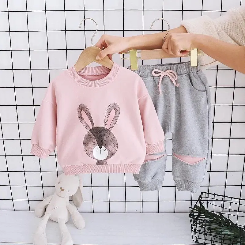 Ensembles de vêtements pour filles, automne printemps, vêtements pour enfants, vêtements de dessin animé lapin, costumes pour enfants, costumes décontractés, 2 pièces