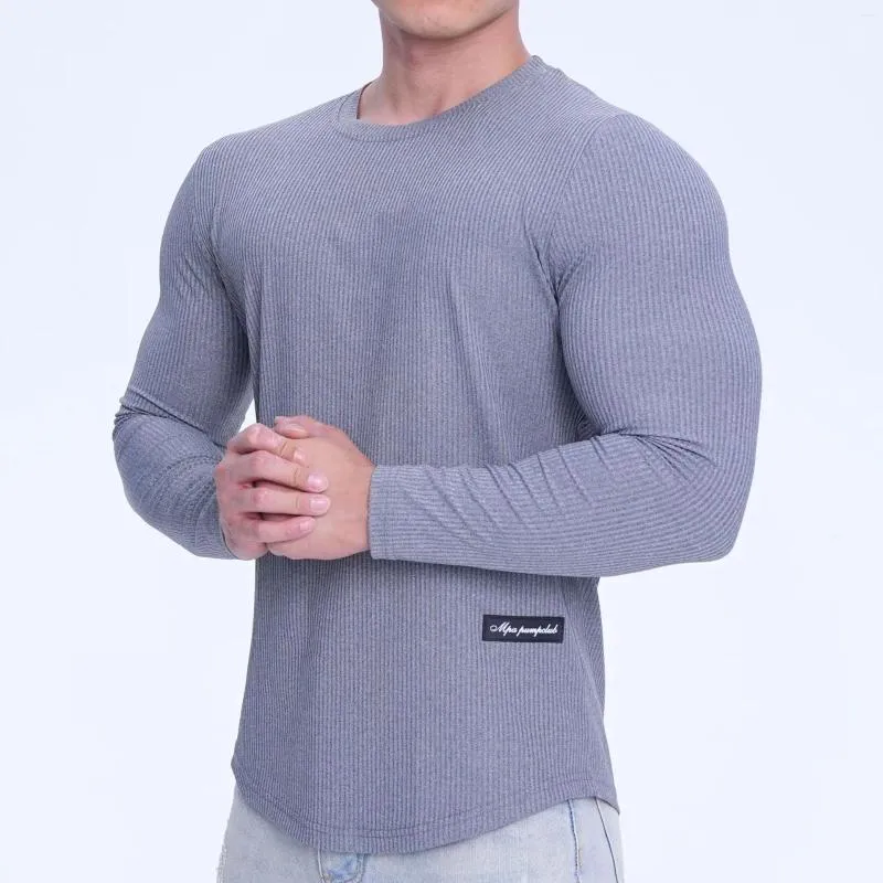 Men's T Shirts Brand Striped Solid Color Workout Long Sleeve Basketball Running Training Stretch Quick-Drying Exercise T-shirt Clothes