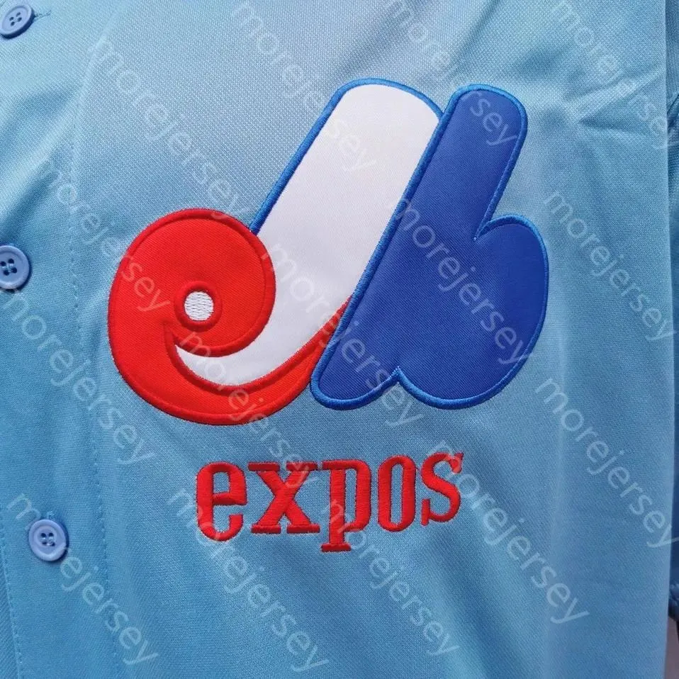 Montreal Expos Jersey Vladimir Guerrero Hall Of Fame Patch 2000 Blue Red Mesh Grey White Button Fans Pinstripe Pullover