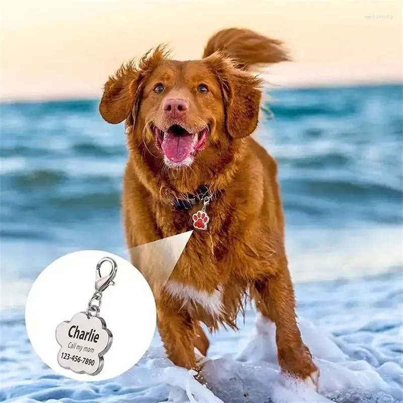 Dog Tag Customizable Collar Pet ID Name For Cat Puppy Card Anti-Loss Key Ring Metal Accessories