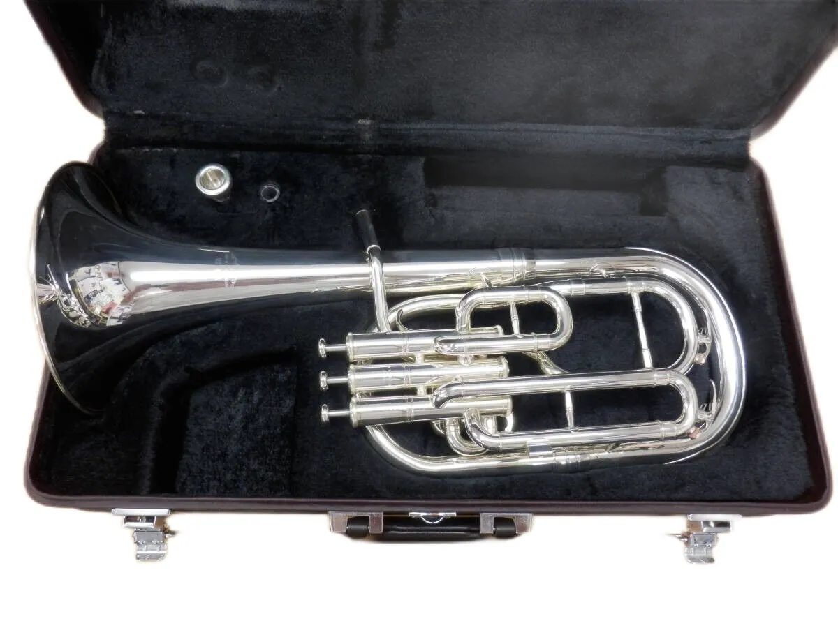 Premium Alto Horn Hard Case - Silver Finish, Durable Protection, Secure ...