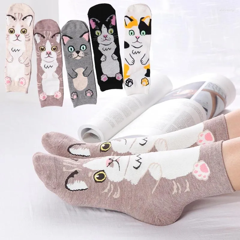 Chaussettes de femmes kawaii équipage drôle mignon dessin animé animal chat animal harajuku printemps automne quatre saisons femelle décontractée bassinante