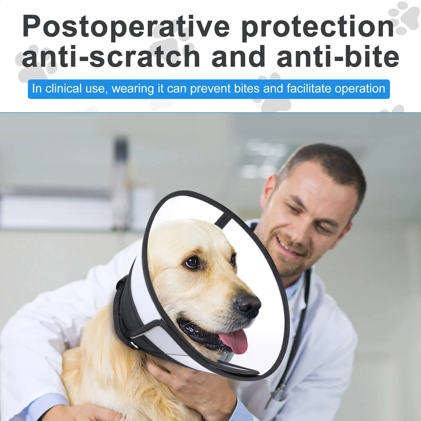 Bite free collar petsmart sale