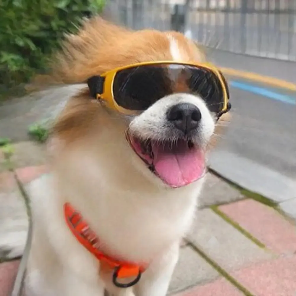 thumbnail image 2 of Dog Sunglasses Pet Goggles For Small Dogs – Anti-UV Eye Protection, Windproof, New With Tags 2 of 6