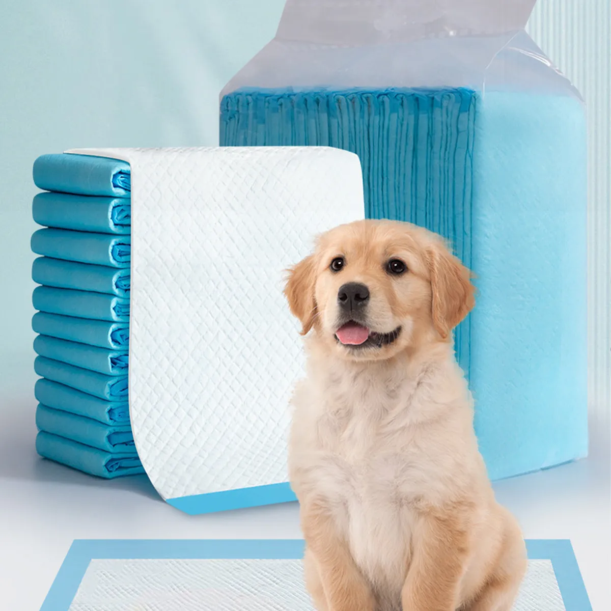Super Absorbent And Leak Proof Dog Pee Pads Extra Large 60X90 Training Piddle Pots And Potty Chair Liners Ponds For Dogs And Puppies From Petproductfactory 2.93 DHgate.Com