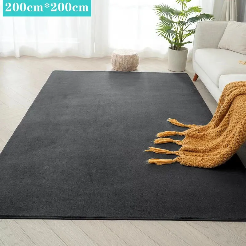 DHgate.com:Plush Fluffy Bedroom Carpet - 200x200cm Non-Slip