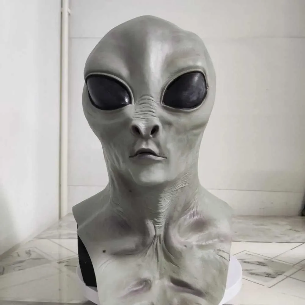 521335_2 521335_2