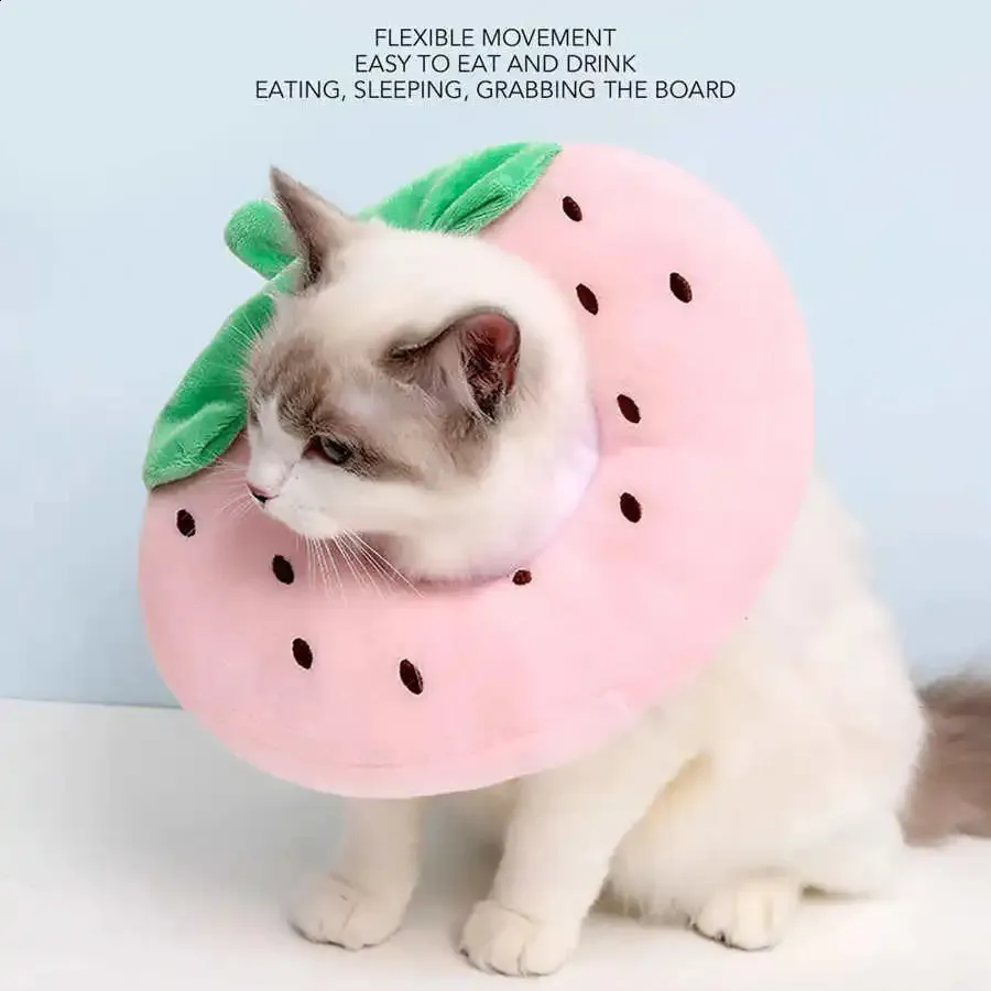 Aazon.co : Soft Cat Cones To Stop Licking, Adjustable Cat Donut
