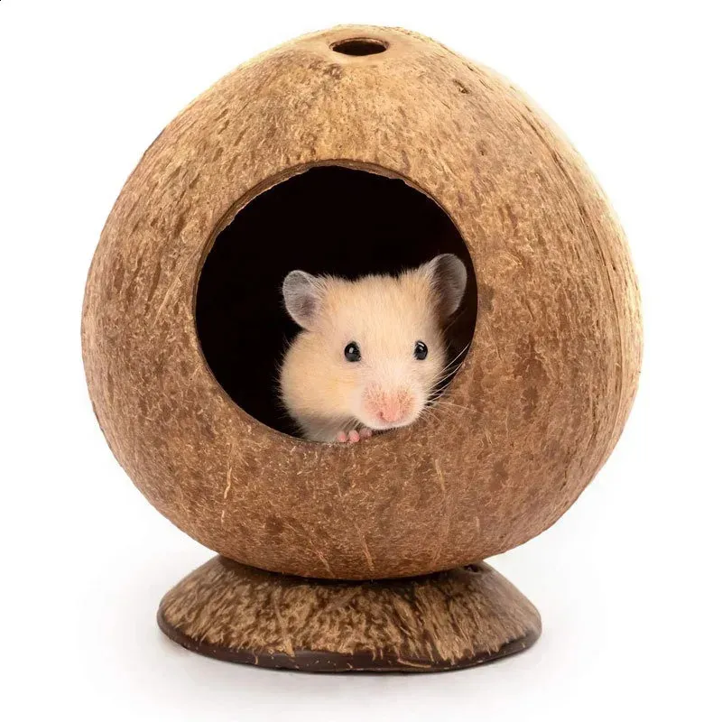 A Comprehensive Guide to Choosing the Perfect Wooden Hamster Cage for Your Pet
