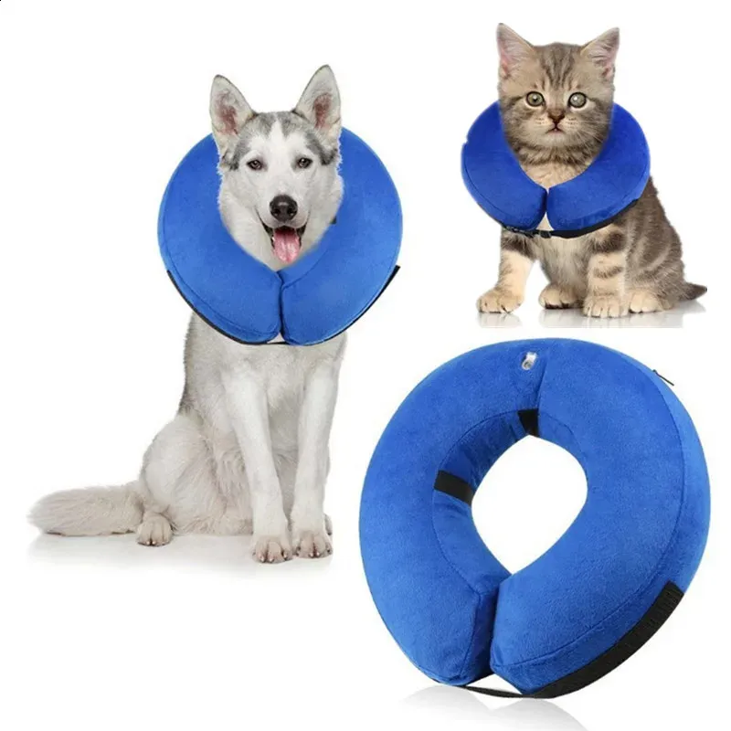Cat Inflatable Dog Collar Petco Inflatable Dog Collar Petco Donut