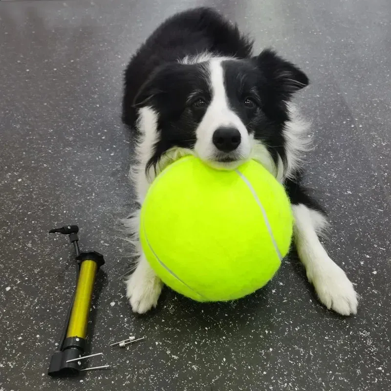 Interactive 24CM Inflatable Tennis Ball For Dogs Perfect For Outdoor Play And Chew Dog Training Supplies From Ukeastore 15.85 DHgate.Com