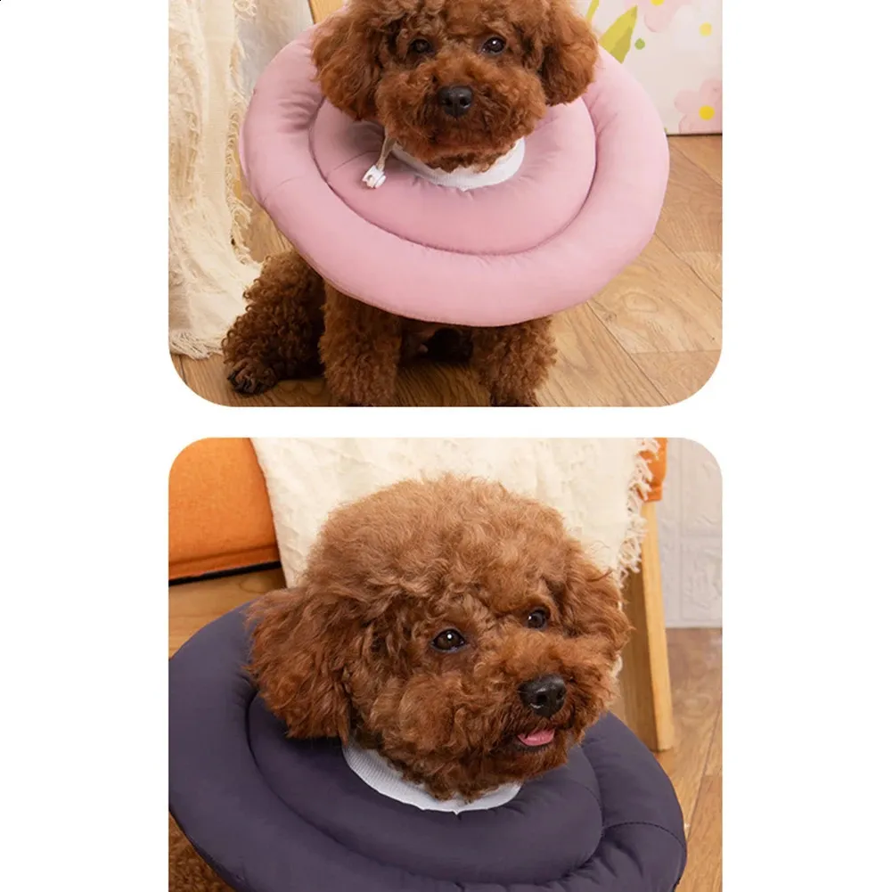 Save Big on Bulk Soft Cone E Collar For Dogs Dog Cones Adjustable Soft Dog  Cone Alternative After Surgery Protective Elizabethan Collar For Dogs Cats 