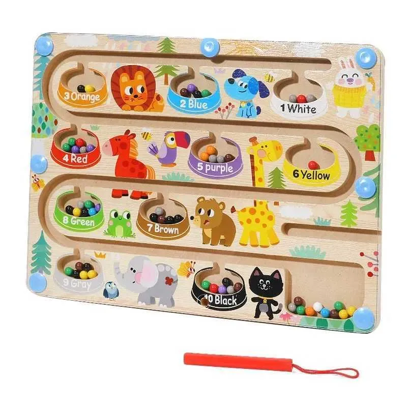 Magnetic Ball Maze Board Montessori Learning Toy for Color Sorting Fine  Motor Skills Shop Now!