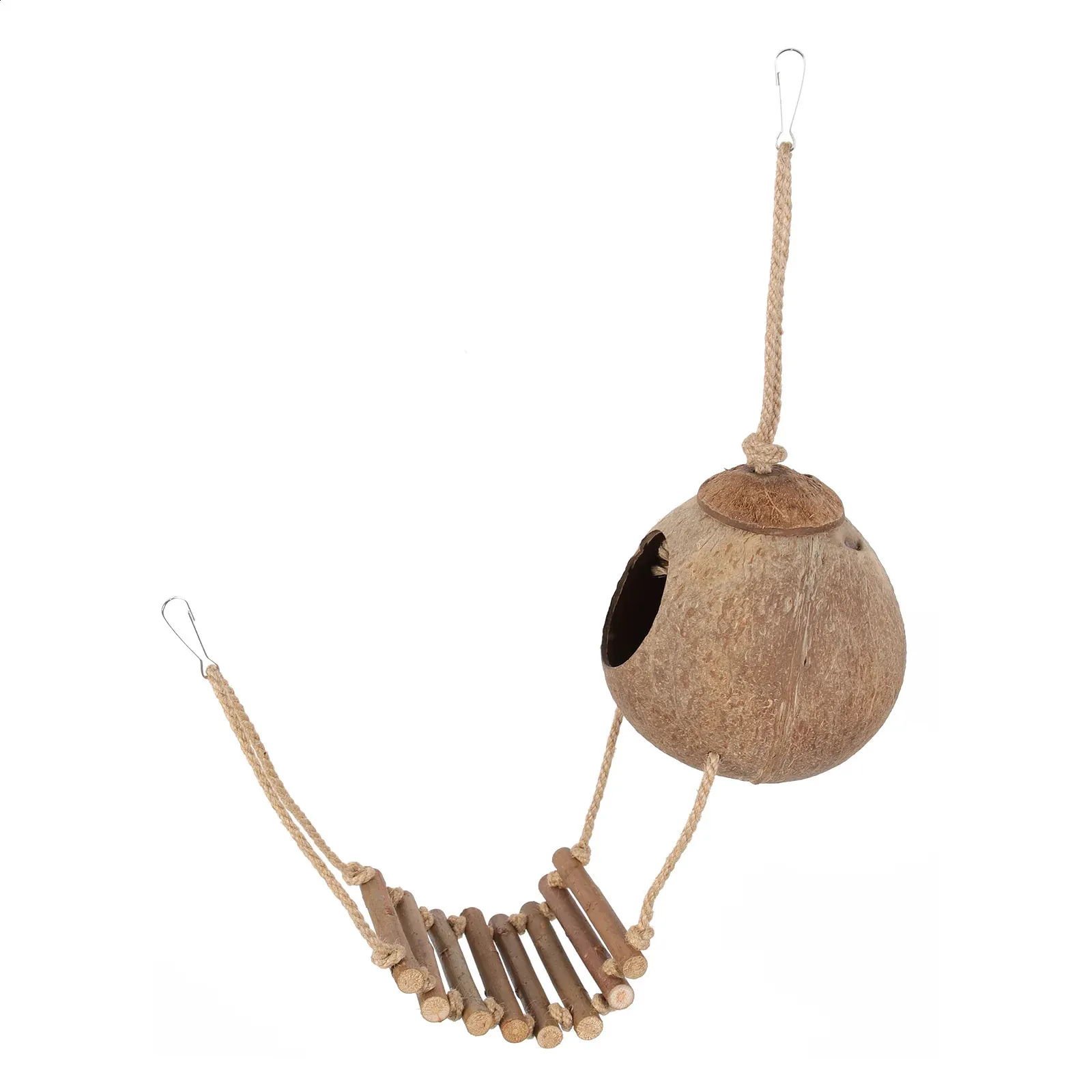 Creating a Natural Environment for Your Water Turtle: Reptile Supplies You’ll Need