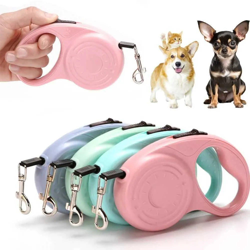 3M 5M Retractable Dog Leashes Durable Nylon Rope For Small & Medium Dogs  And Cats Automatic Extending Leash For Hiking And Outdoor Use Y240803 From  Thousand_alley_end, $11.33 | DHgate.Com