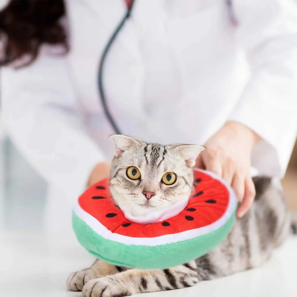 Cat Cones S Adjustable Cat Cone Collar Soft Recovery Collar, Cute E Collar For Cats After Surgery Cat Neck Cones To Stop Licking For Cats Small Dogs Cat Collar Kitten Cone