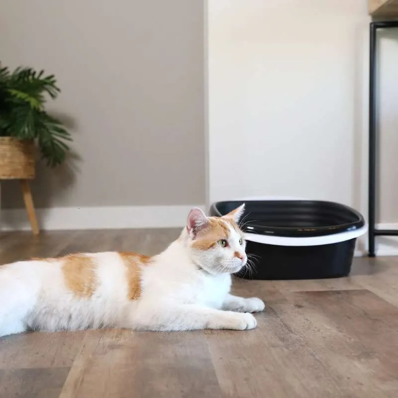 Large tray for under litter box 2025
