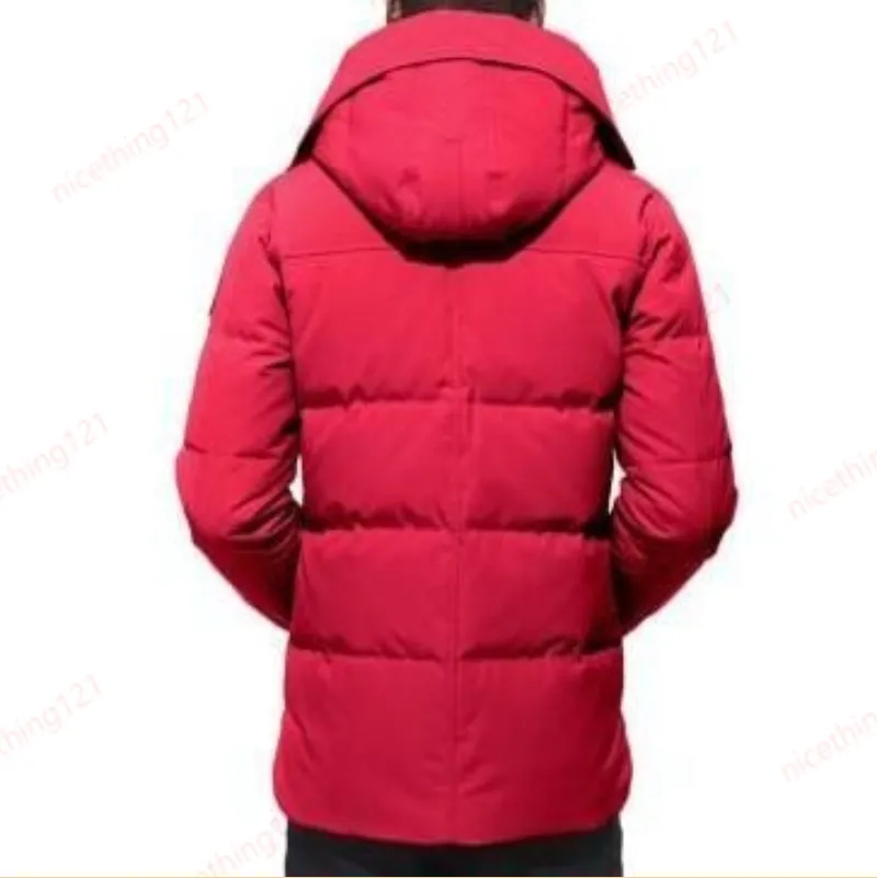 puffer herenjas designer winterjas damesmode donsjack dikke warme parka veren winddicht bovenkleding koud_voghion.com