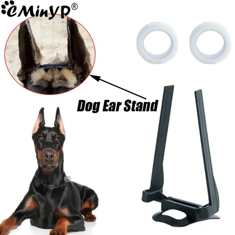 Doberman Pinscher Doberman Supplies Adjustable Dog Ear Stand