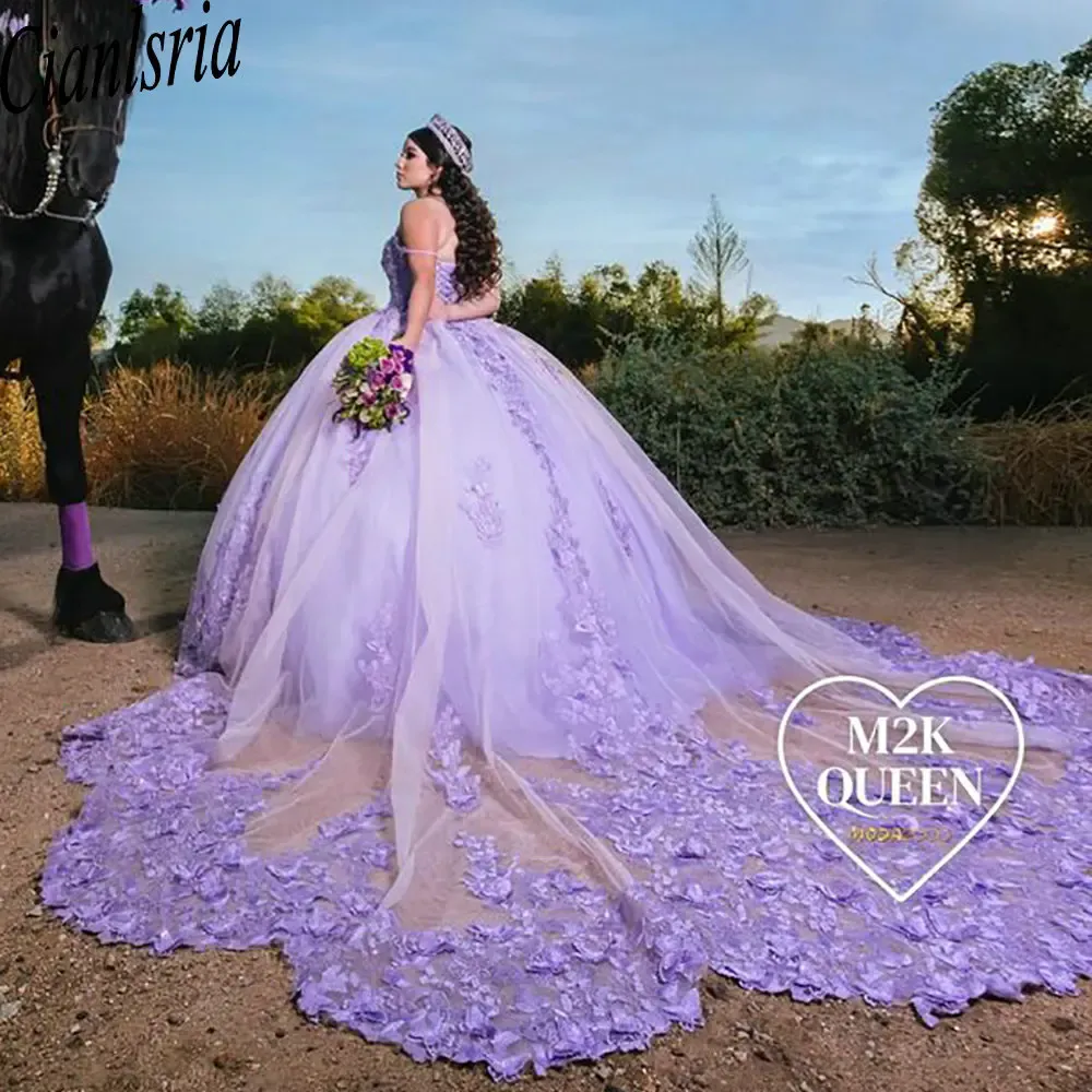 Strapless Lilac Ball-Gown Corset Appliqued Quinceanera Dress main image 1