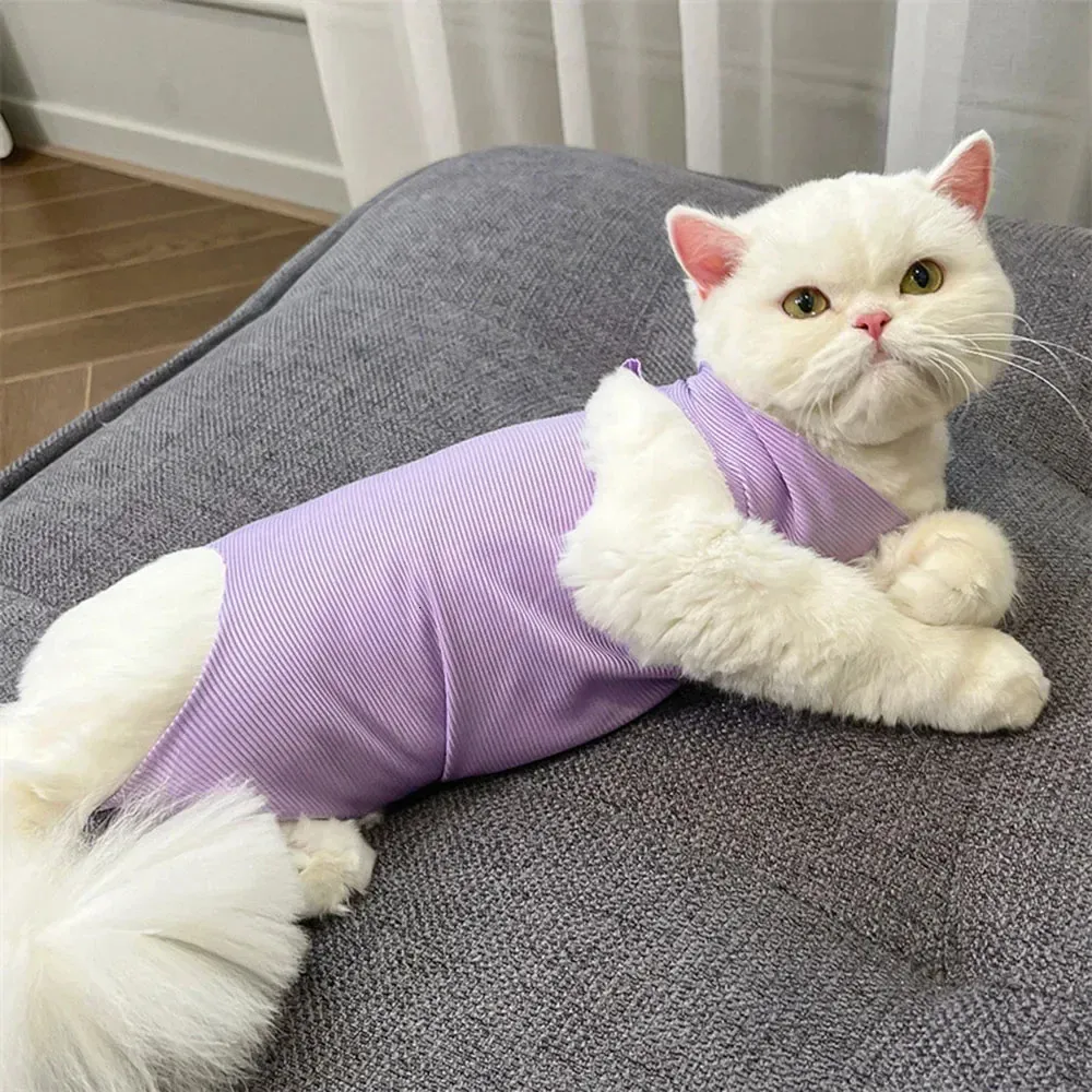 Avont Cat Recovery Suit 2-Pack - Surgical Spay Suit Alternative To Cone