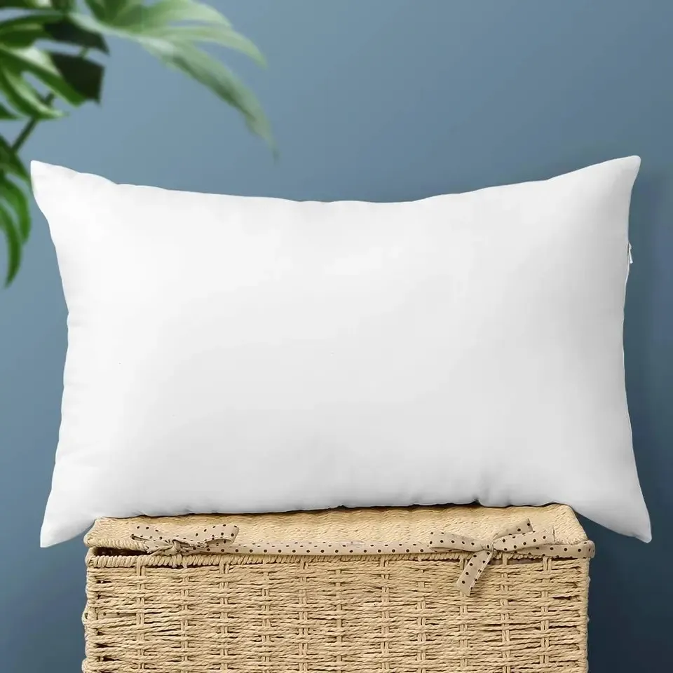 Pillow Inserts Big White Throw Pillows Save Big On Bulk White