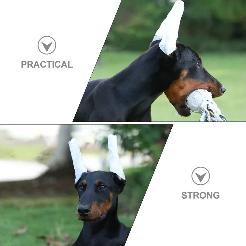 Posting Doberman Puppies Ears Taped Prima Ear Posting Kit — PRIMA