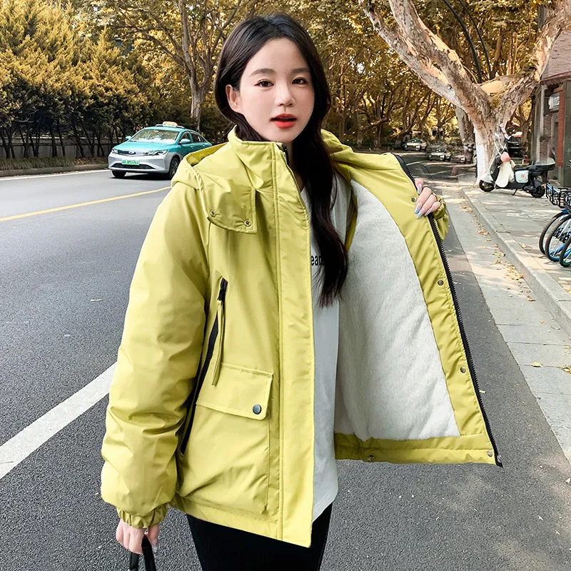 Winter Coat Napapijri Arctic Parka Parka Jacket Napapijri