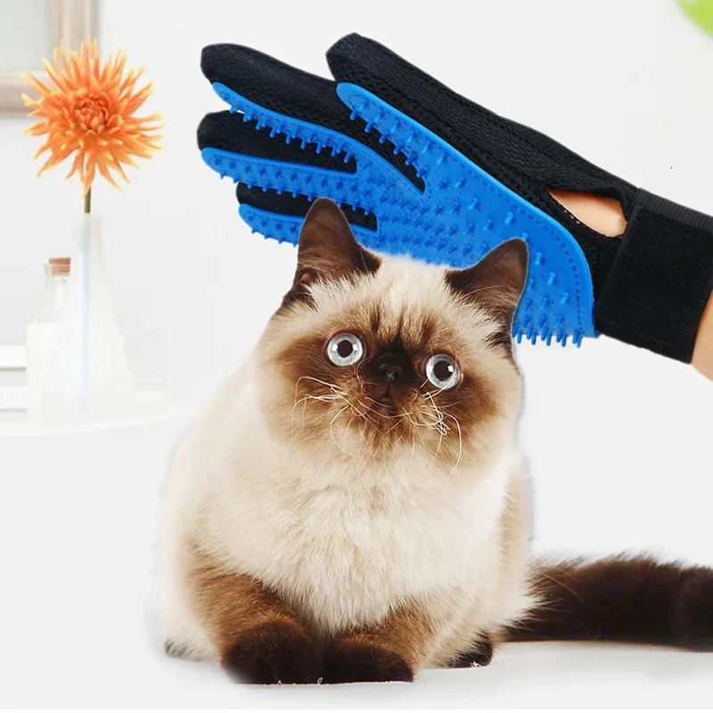 A Guide to Grooming Cats Tools and Techniques