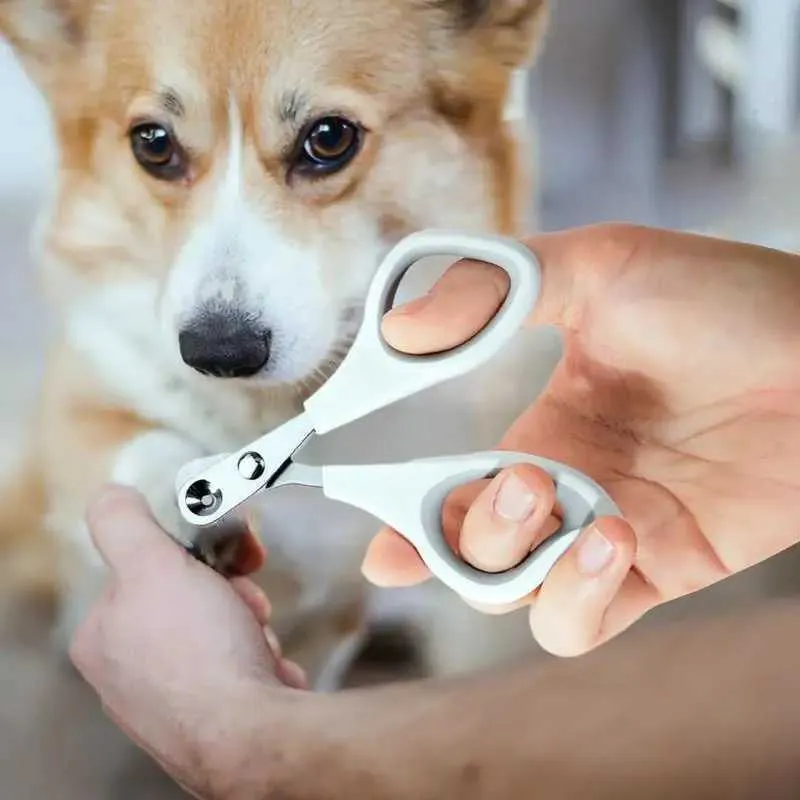 Dog Grooming Petsmart Dog Nail Trim Cat Grooming Price Cost Of Dog