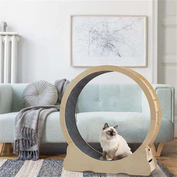 Why Water Wow is the Must-Have Cat Toy of 2024!