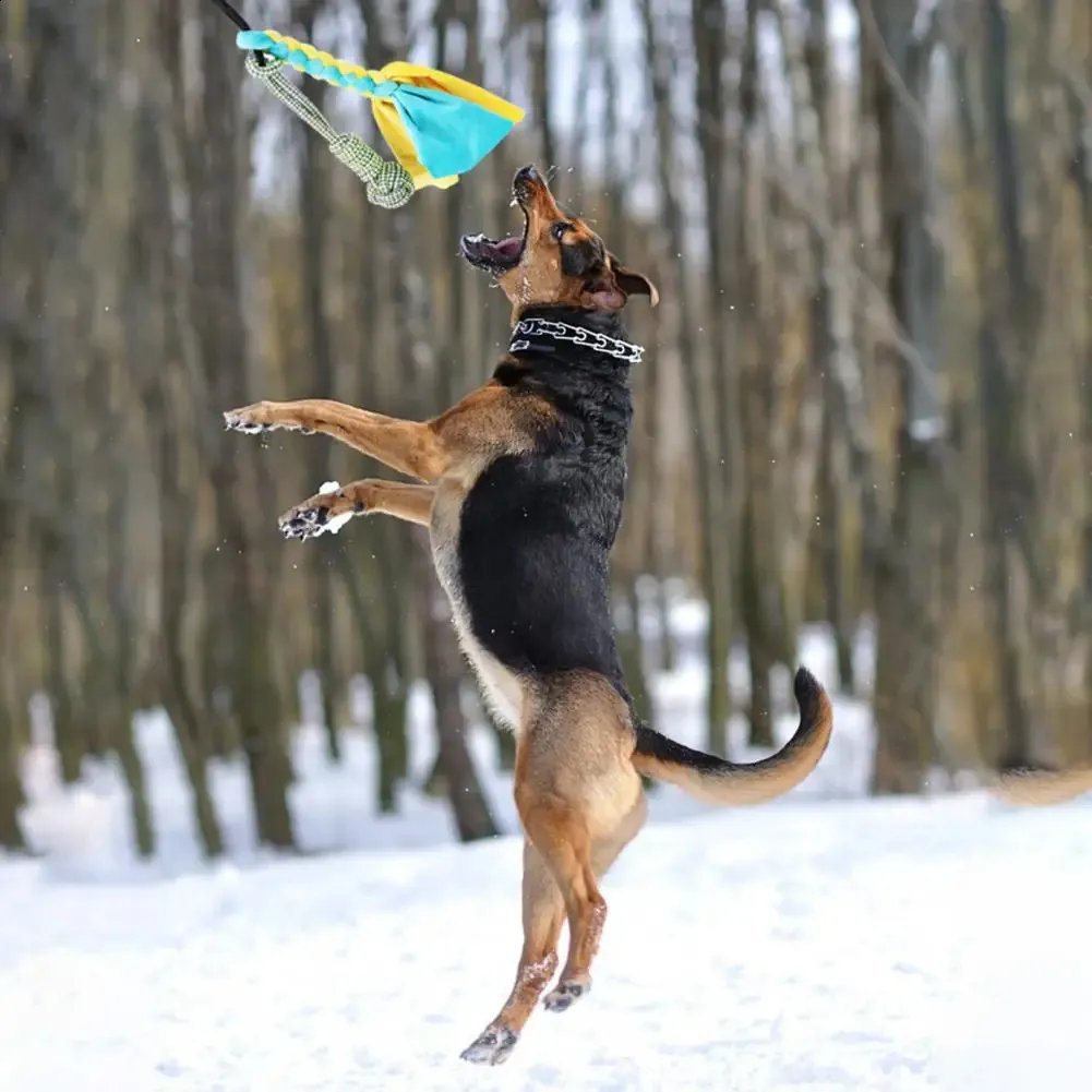 Bâton De Flirt Extensible Pour Chien Avec Balle Interactive Pour Chiens, Jouet à Mâcher Pour Chiens De Petite, Moyenne Et Grande Taille