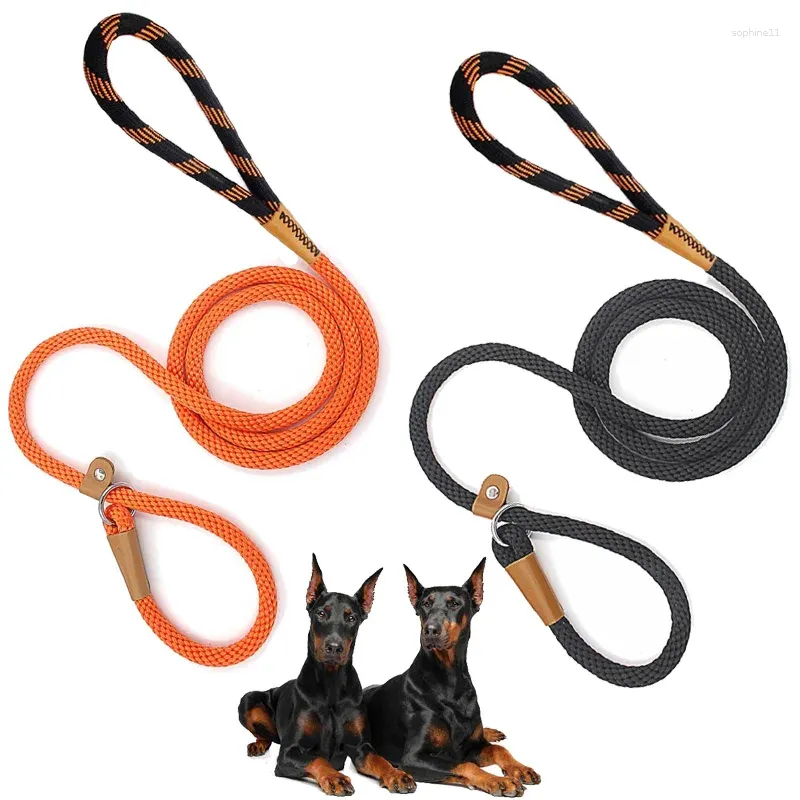 Non slip collar online