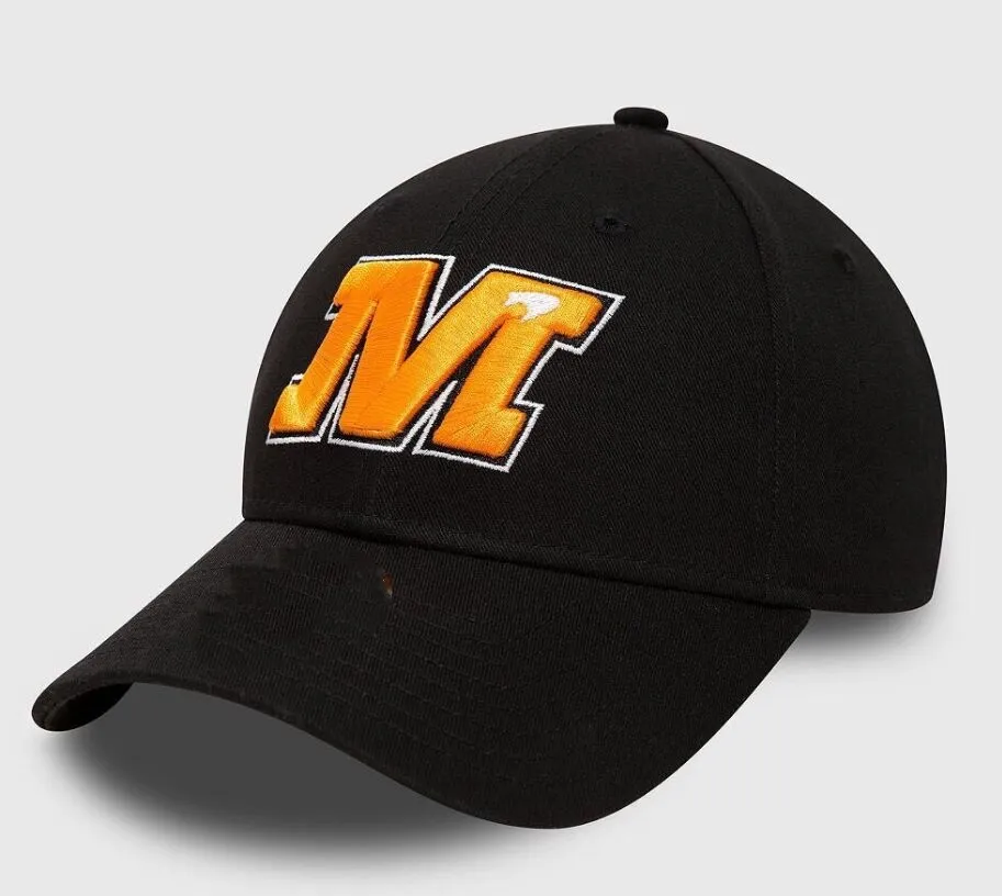 Cheap nfl snapback hats sale