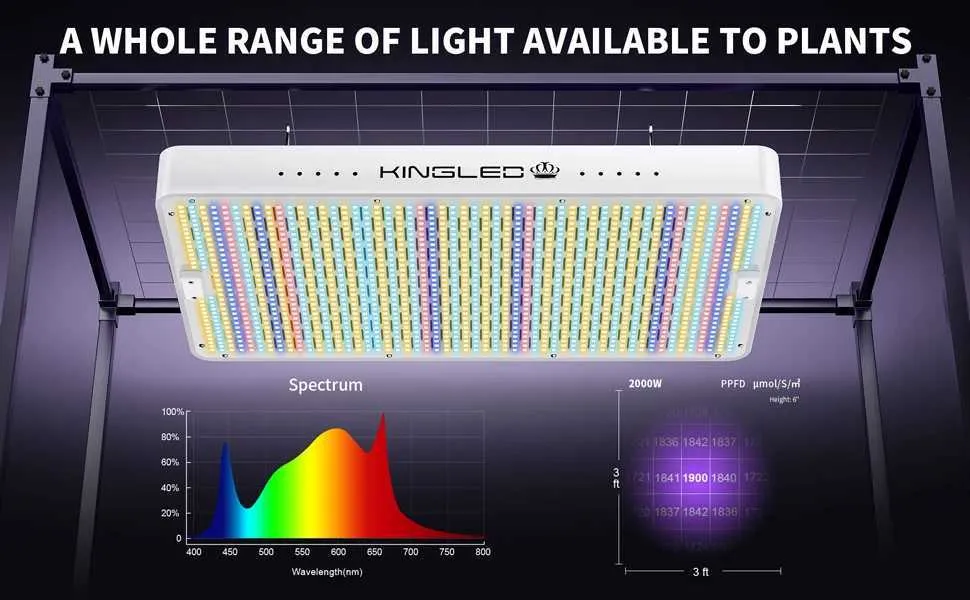 Full Spectrum LED Grow Light: 1000W-4000W, Best Seller for Indoor ...
