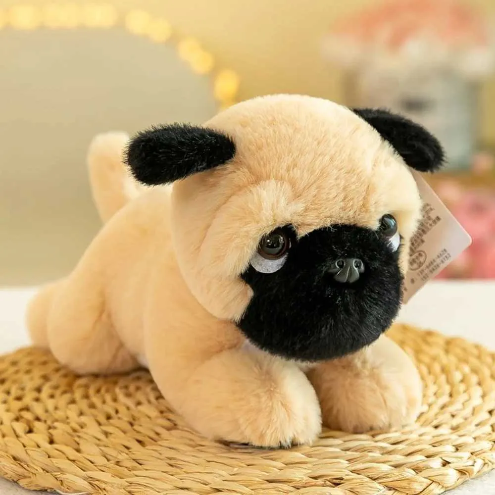 Corgi Bulldog Husky Plush Toy 23CM Super Soft Cute Dog Doll Birthday Gift  For Friends Holiday Decoration From Time_brocade, $8.6 | DHgate.Com, image size:1000x1000