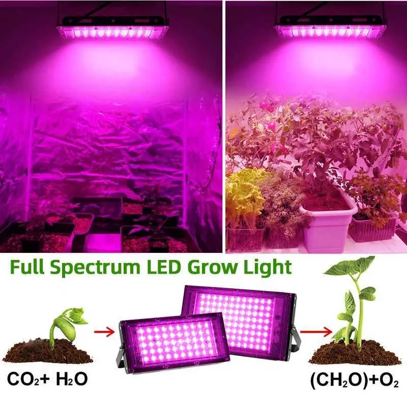 thumbnail image 2 of IMountek LED Grow Light Full Spectrum – 110V Plant Growing Lamp For Indoor Hydroponics 2 of 5