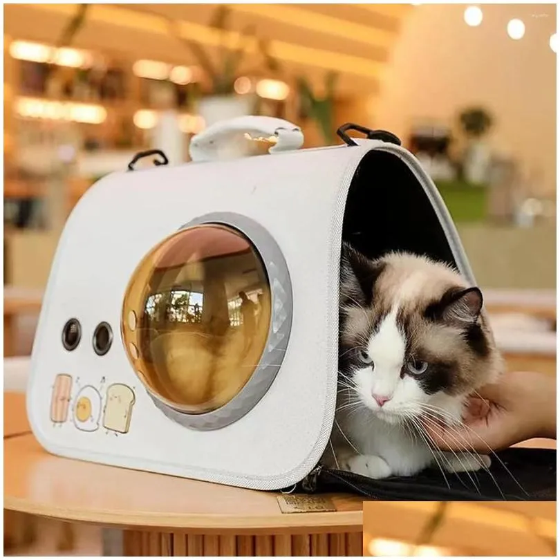 Cool cat carrier 2025