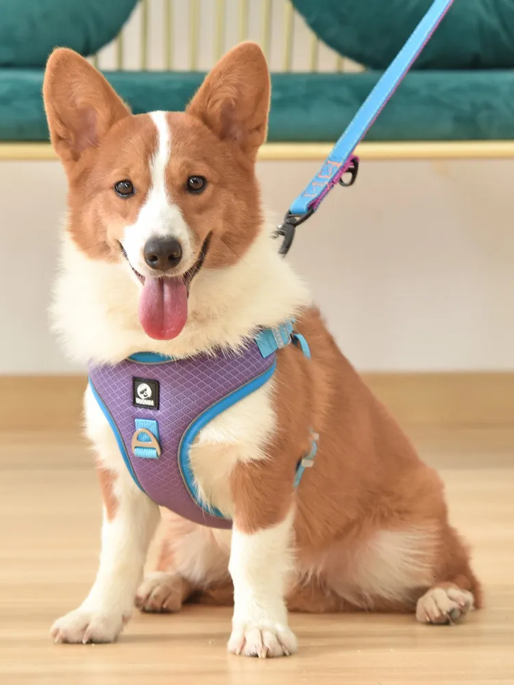 Comfortable Dog Harness Vest Leash Set No-Pull Design, Perfect