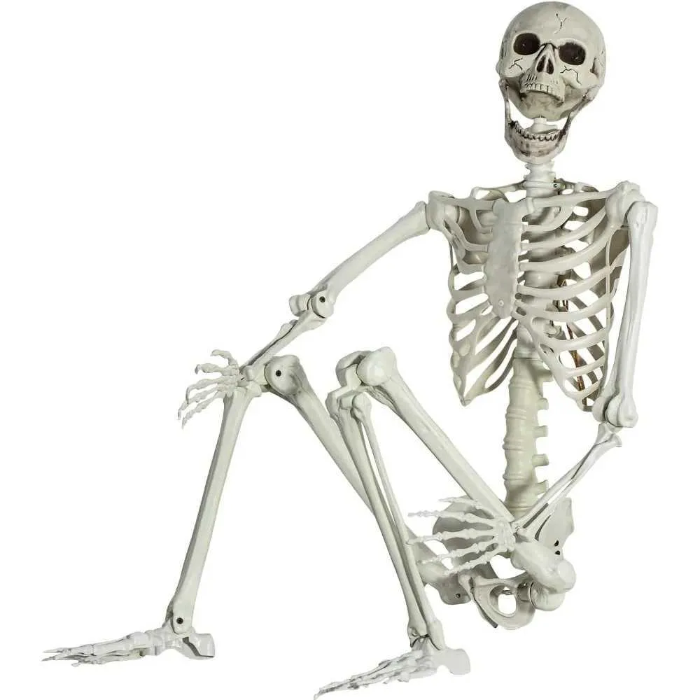 4Ft Posable Halloween Skeleton Full Body Life Size For Spooky Decor ...