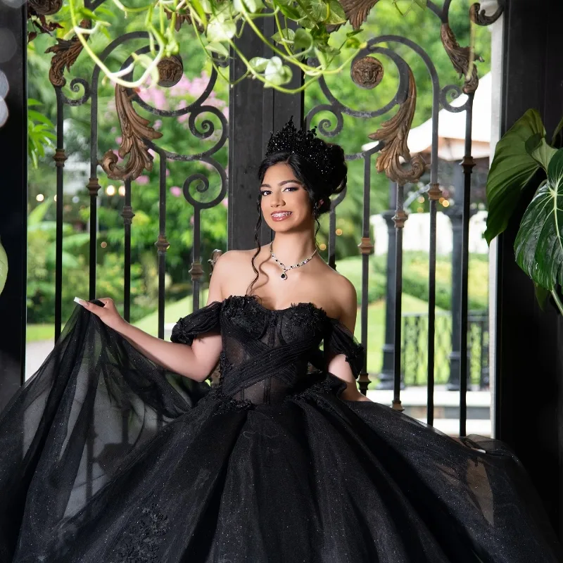 Black Glitter Princess Quinceanera Dress Off The Shoulder Applique Lace  Crystal Corset Lace-up from Dhgate Quinceanera Dresses - price 298.66
