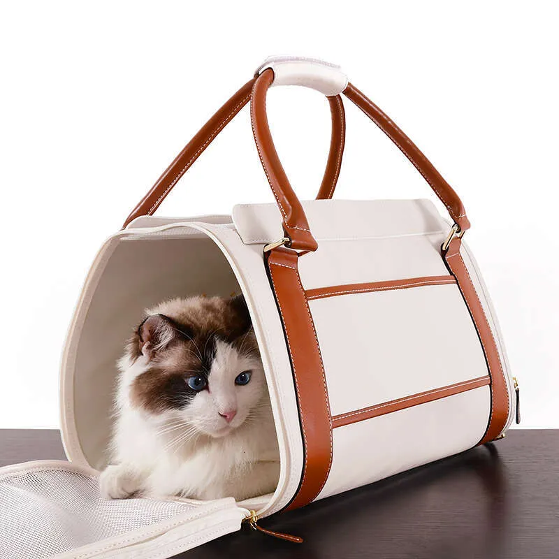 Fancy cat carrier online