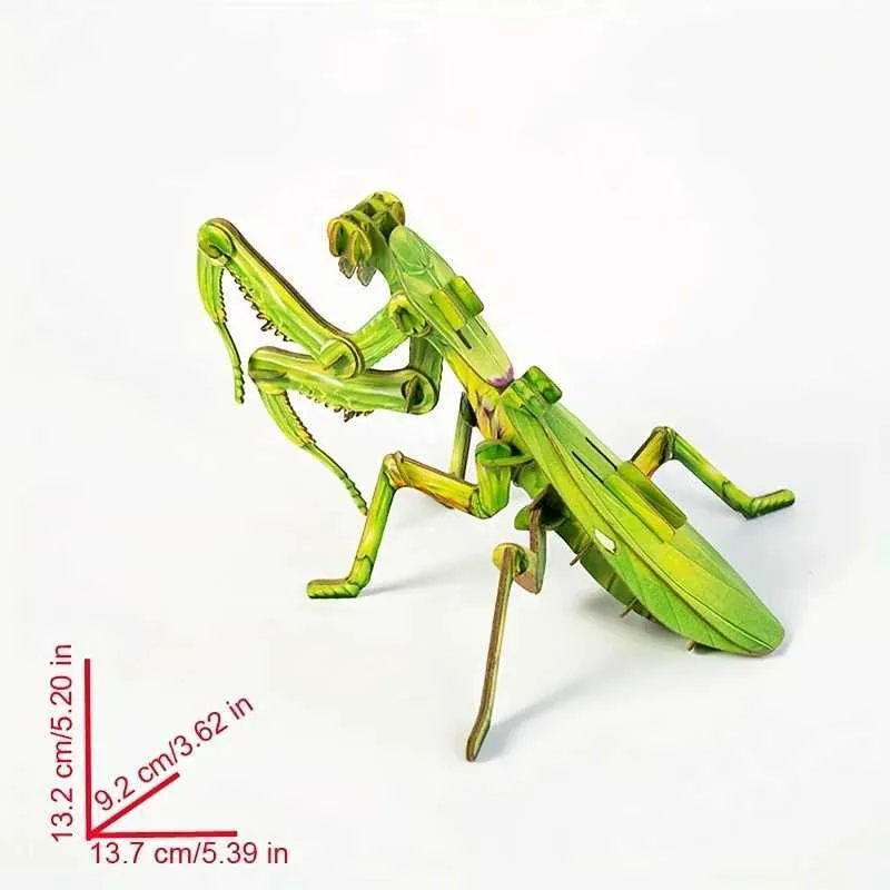 Praying Mantis Model Kits: A Kid's Buying Guide