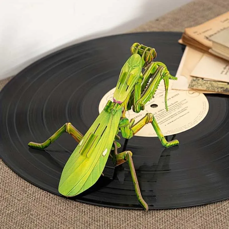 Praying Mantis Model Kits: A Kid's Buying Guide