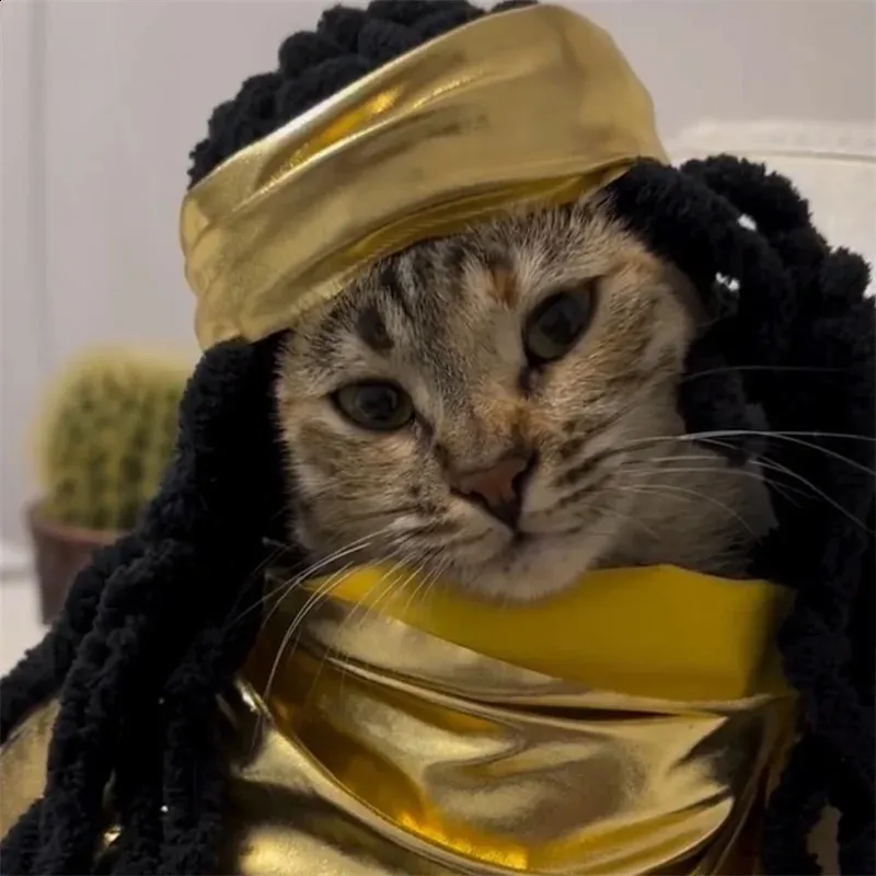 Cute Knitted Cat Hat With Blonde Braids Elastic Pet From