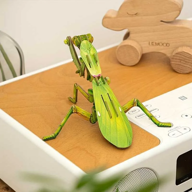 Praying Mantis Model Kits: A Kid's Buying Guide