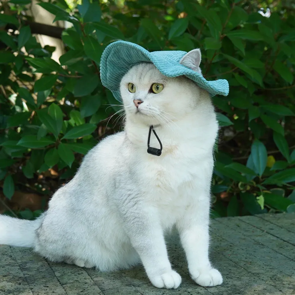Cat Baseball Cap Pet Sun Visor With Ear Holes Adjustable Outdoor
