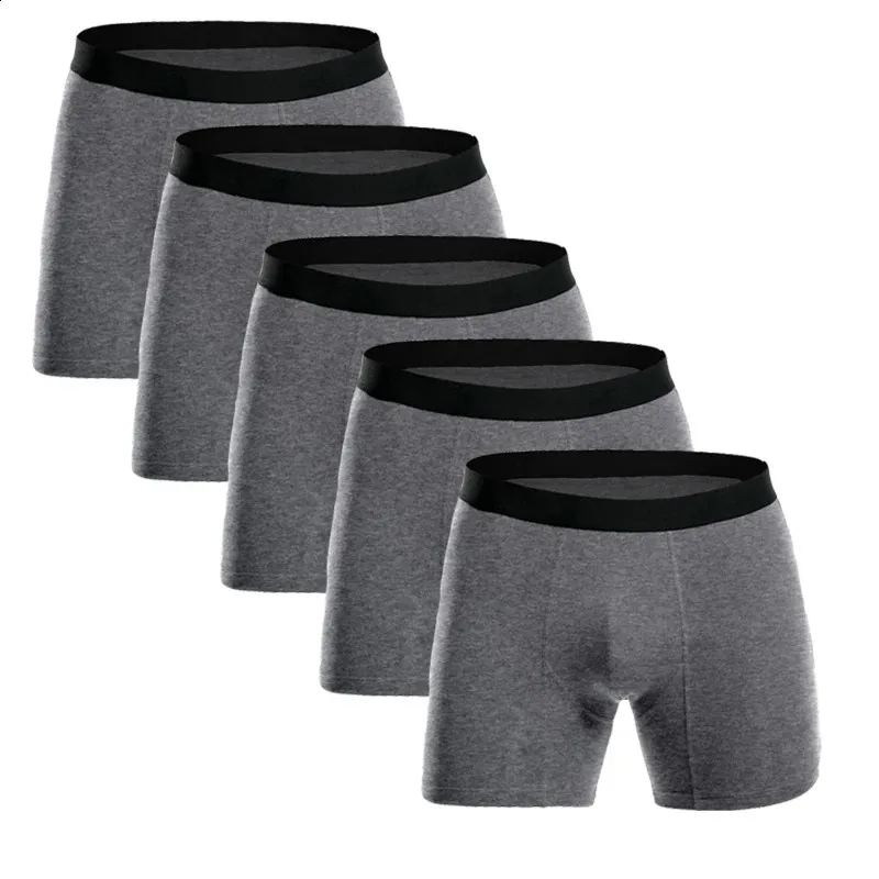 Plus size long leg underwear online