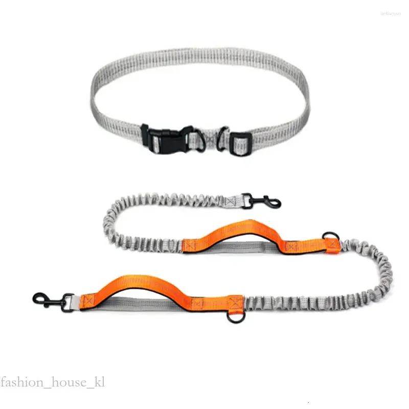 Hands-Free Dog Leash Bungee Running Leash with Dual Handles